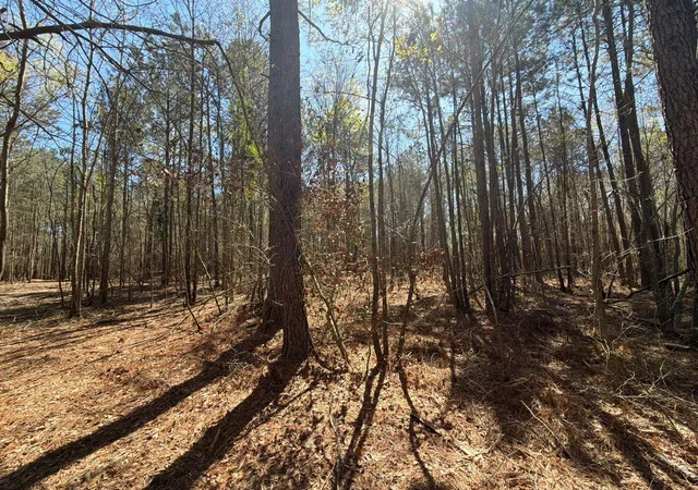 Photo 5 of Land for sale at Bhl 11 Boise Cascade #BHL11, Bethune, SC 29009 | MLS# 26008177 | Listing updated on 2026-03-24