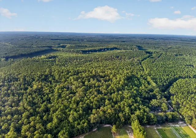 2nd image of 0 Greenwood Rd, Adams Run, SC 29426 | MLS# 26023904