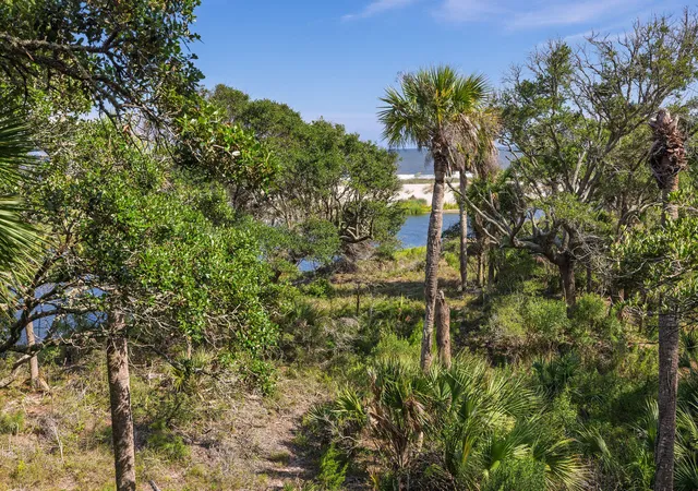 Homes for sale in Dewees Island, SC | 411 Pelican Flight Dr, Dewees Island, SC 29451 | MLS# 26018921