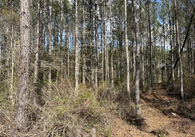 Homes for sale in Cottageville, SC | 11 Red Oak Rd, Cottageville, SC 29435 | MLS# 26008840