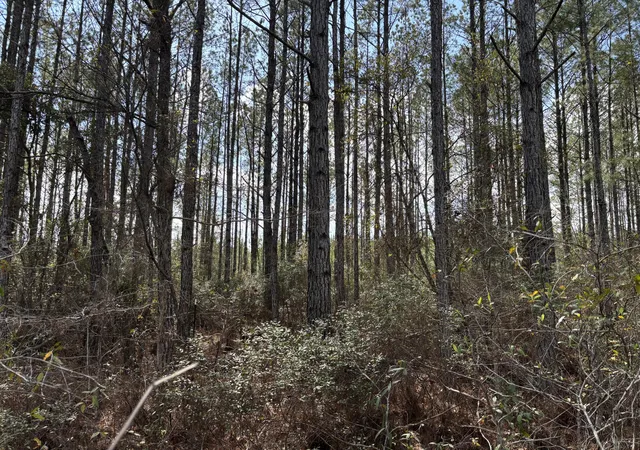 Homes for sale in Cottageville, SC | 11 Red Oak Rd, Cottageville, SC 29435 | MLS# 26008840