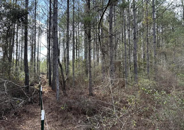 Homes for sale in Cottageville, SC | 11 Red Oak Rd, Cottageville, SC 29435 | MLS# 26008840