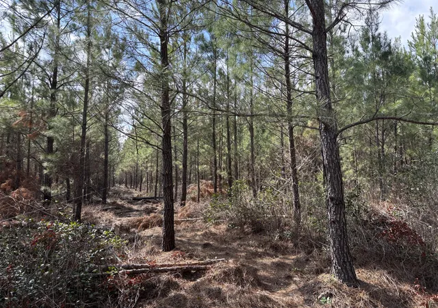 Homes for sale in Cottageville, SC | 11 Red Oak Rd, Cottageville, SC 29435 | MLS# 26008840