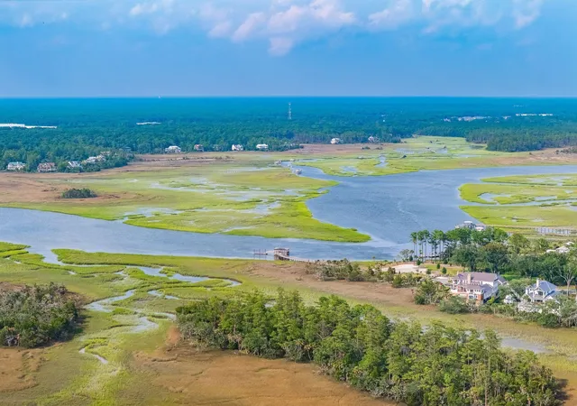50th image of 473 Lesesne St, Daniel Island, SC 29492 | MLS# 26021733