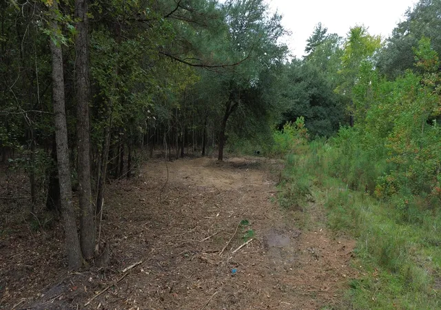 Photo 2 of Land for sale at 0 Jasper Ln, Summerton, SC 29148 | MLS# 25029474 | Listing updated on 2026-05-11