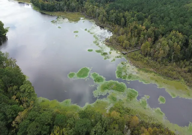 Photo 3 of Land for sale at 0 Jasper Ln, Summerton, SC 29148 | MLS# 25029474 | Listing updated on 2026-05-11