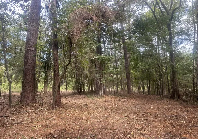 Photo 4 of Land for sale at 0 Jasper Ln, Summerton, SC 29148 | MLS# 25029474 | Listing updated on 2026-05-11