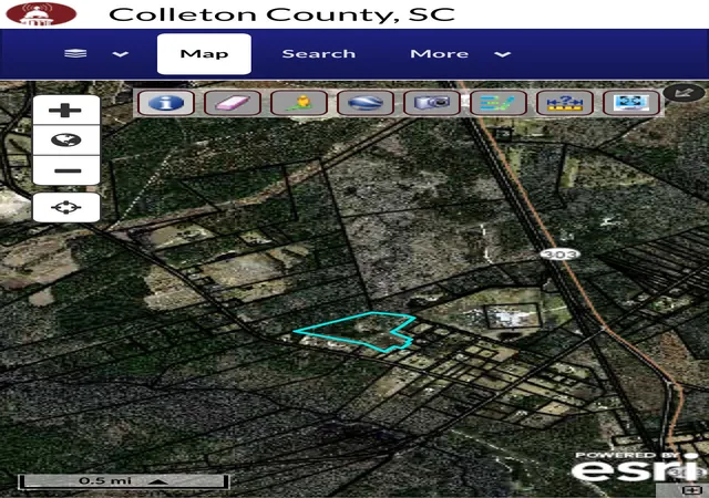 Homes for sale in Walterboro, SC | 436 Earnels Dr, Walterboro, SC 29488 | MLS# 26018687