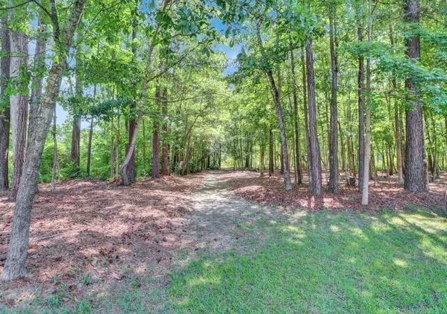 50th image of 1181 Old Hwy 6, Cross, SC 29436 | MLS# 26018080
