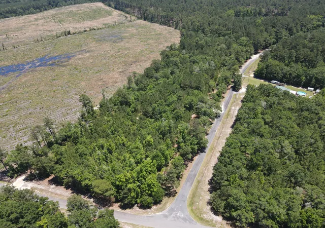 Homes for sale in Smoaks, SC | 0 Tumbleweed Rd, Smoaks, SC 29481 | MLS# 26018406