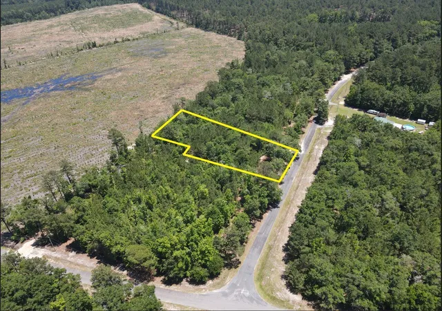 Homes for sale in Smoaks, SC | 0 Tumbleweed Rd, Smoaks, SC 29481 | MLS# 26018406