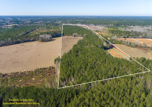 Photo 1 of Land for sale at 0 Hiotts Pond, Walterboro, SC 29488 | MLS# 26003387 | Listing updated on 2026-09-18