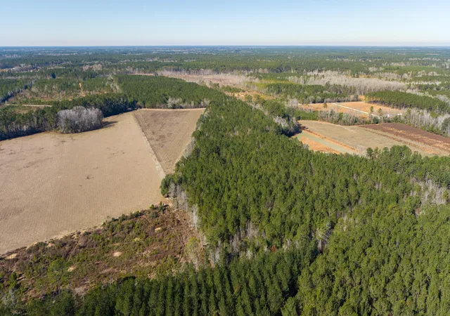 Photo 3 of Land for sale at 0 Hiotts Pond, Walterboro, SC 29488 | MLS# 26003387 | Listing updated on 2026-09-18