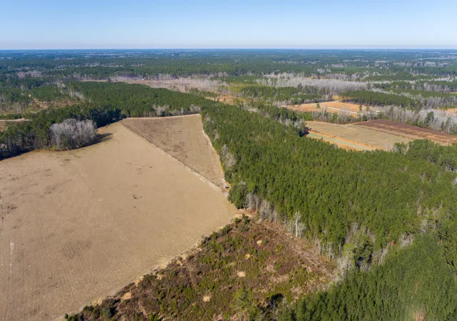 Photo 3 of Land for sale at 0 Hiotts Pond, Walterboro, SC 29488 | MLS# 26003387 | Listing updated on 2026-09-18