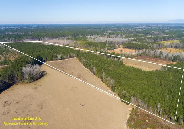 Photo 4 of Land for sale at 0 Hiotts Pond, Walterboro, SC 29488 | MLS# 26003387 | Listing updated on 2026-09-18