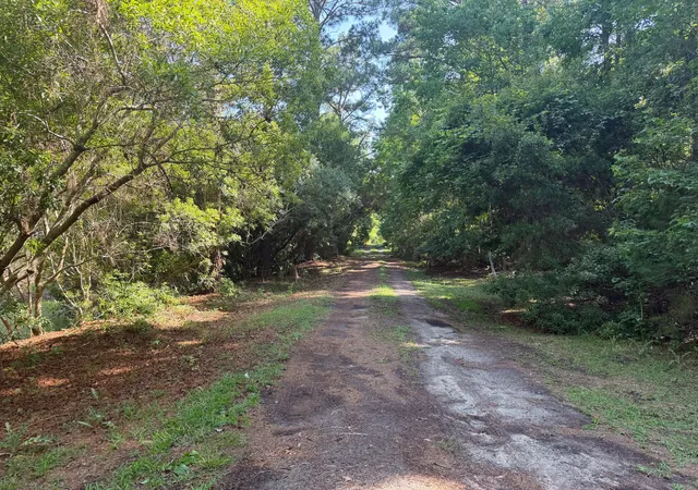 4th image of 2995 Causey Rd, Mount Pleasant, SC 29466 | MLS# 26016078