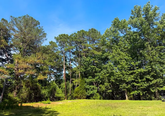 6th image of 2995 Causey Rd, Mount Pleasant, SC 29466 | MLS# 26016078