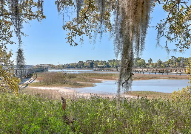 1st image of 41 Petigru Dr, Beaufort, SC 29902 | MLS# 25011793