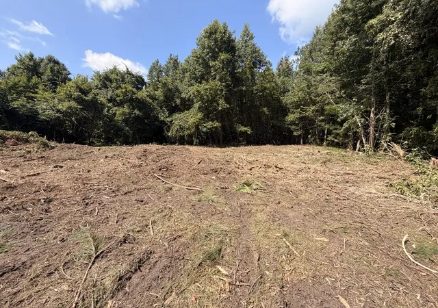 Photo 5 of Land for sale at 1547d Pine Valley Dr, Elgin, SC 29045 | MLS# 26021993 | Listing updated on 2026-08-24