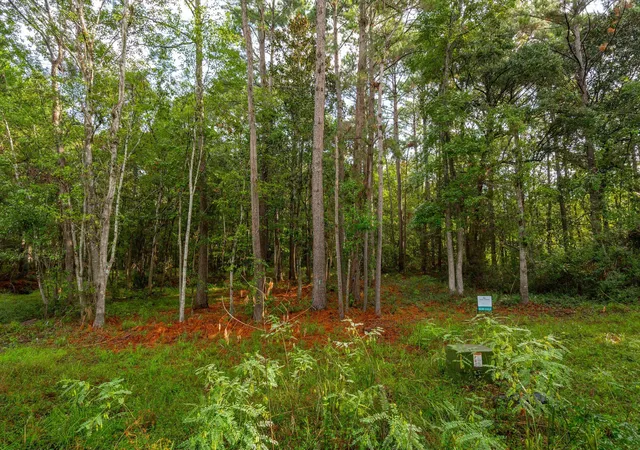 4th image of 736 Wilson Cemetery Rd, Awendaw, SC 29429 | MLS# 26017186