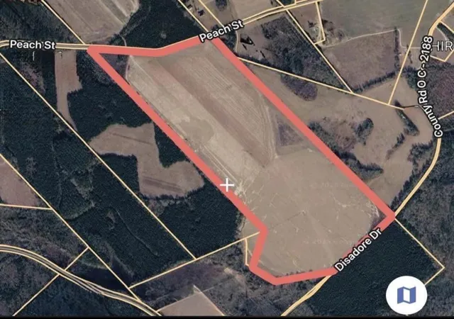 Land for sale at 1 Disadore Dr, Neeses, SC 29107 | MLS# 26019498