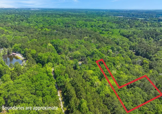 Photo 14 of Single family home for sale at 0 Steamboat Landing Rd, Edisto Island, SC 29438 | MLS# 26021763 | Listing updated on 2026-08-04