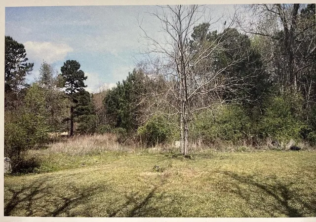 1st image of 1690 Hwy 41, Mount Pleasant, SC 29466 | MLS# 23002274