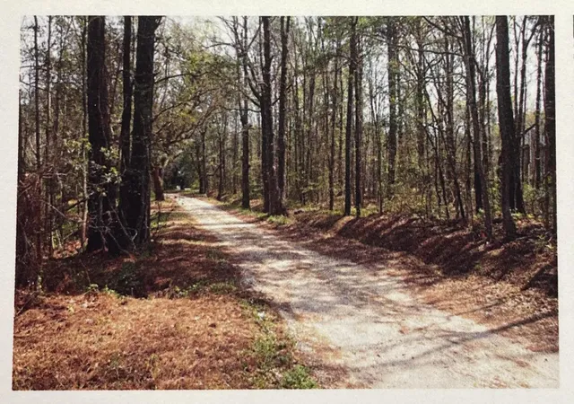 2nd image of 1690 Hwy 41, Mount Pleasant, SC 29466 | MLS# 23002274