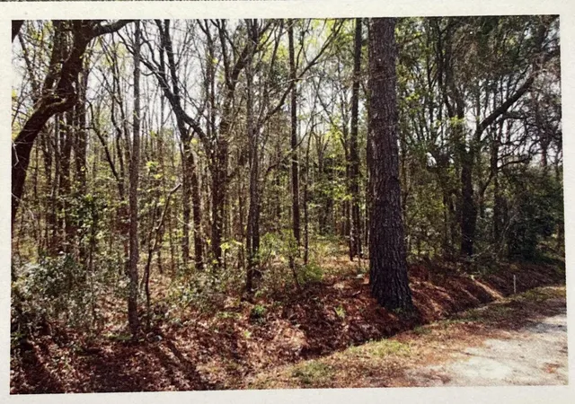 Photo 3 of Land for sale at 1690 Hwy 41, Mount Pleasant, SC 29466 | MLS# 23002274 | Listing updated on 2026-06-16