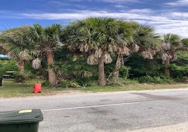Photo 3 of Land for sale at 910 E Arctic Ave, Folly Beach, SC 29439 | MLS# 26018814 | Listing updated on 2026-09-01