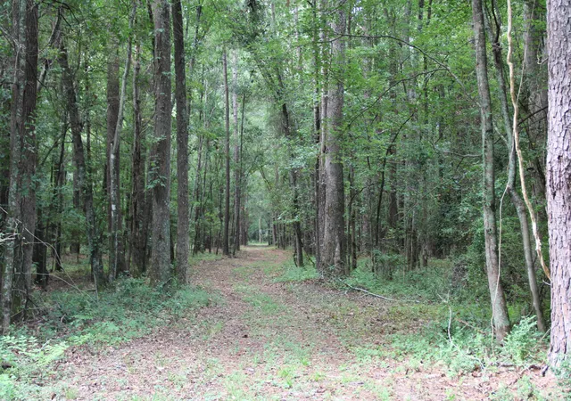 31st image of 00 4 Holes Rd, Orangeburg, SC 29115 | MLS# 26023432