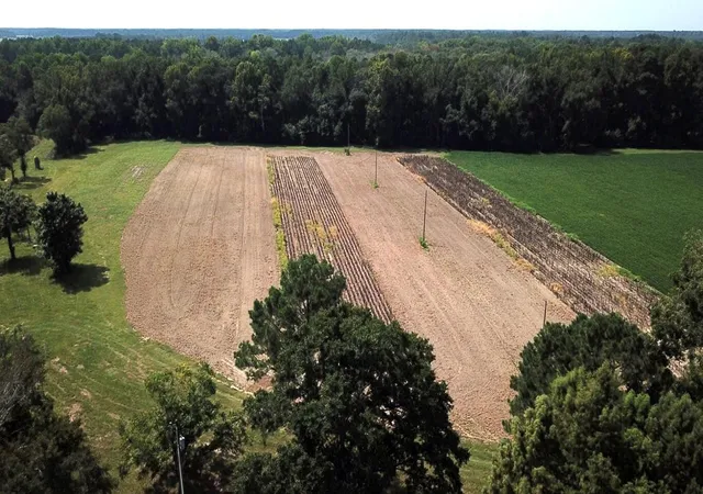 Photo 3 of Sale Pending at 00 4 Holes Rd, Orangeburg, SC 29115 | MLS# 26023432 | Listing updated on 2026-09-22