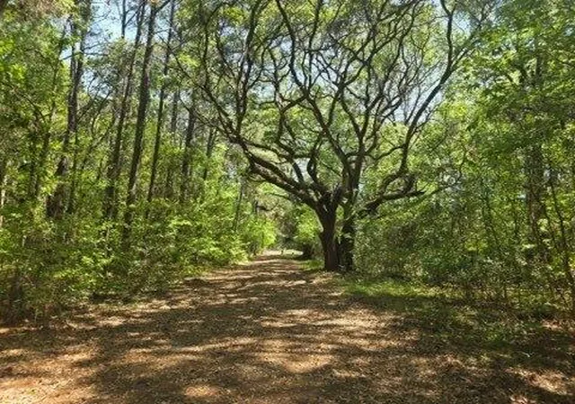 1st image of 00 Bears Bluff #Lot C, Wadmalaw Island, SC 29487 | MLS# 26010944