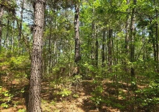 2nd image of 00 Bears Bluff #Lot C, Wadmalaw Island, SC 29487 | MLS# 26010944