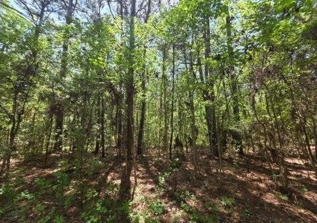 3rd image of 00 Bears Bluff #Lot C, Wadmalaw Island, SC 29487 | MLS# 26010944