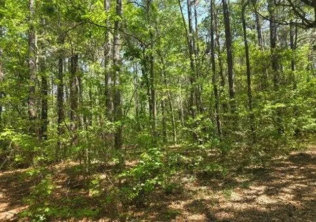 4th image of 00 Bears Bluff #Lot C, Wadmalaw Island, SC 29487 | MLS# 26010944