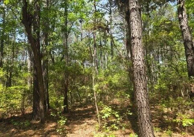 5th image of 00 Bears Bluff #Lot C, Wadmalaw Island, SC 29487 | MLS# 26010944