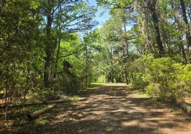 7th image of 00 Bears Bluff #Lot C, Wadmalaw Island, SC 29487 | MLS# 26010944