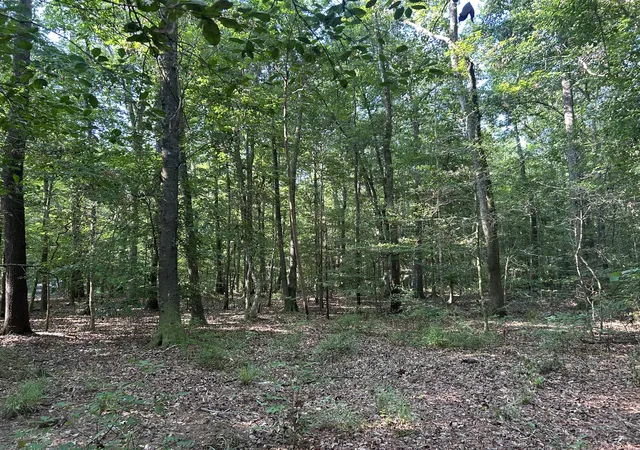 1st image of 0 Swamp Fox Dr, Summerville, SC 29485 | MLS# 26018409