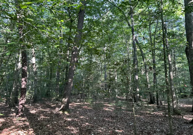 2nd image of 0 Swamp Fox Dr, Summerville, SC 29485 | MLS# 26018409