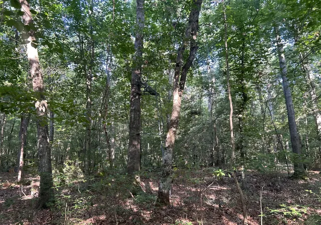 3rd image of 0 Swamp Fox Dr, Summerville, SC 29485 | MLS# 26018409