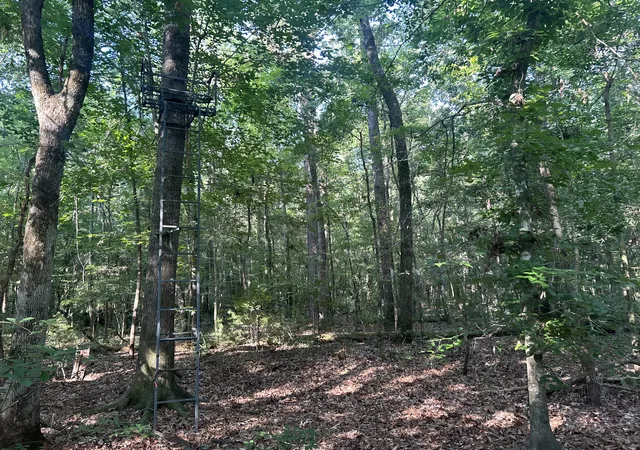4th image of 0 Swamp Fox Dr, Summerville, SC 29485 | MLS# 26018409