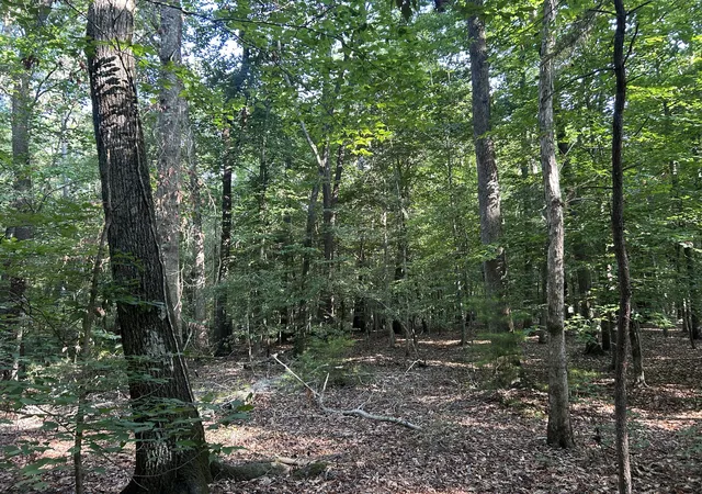 5th image of 0 Swamp Fox Dr, Summerville, SC 29485 | MLS# 26018409