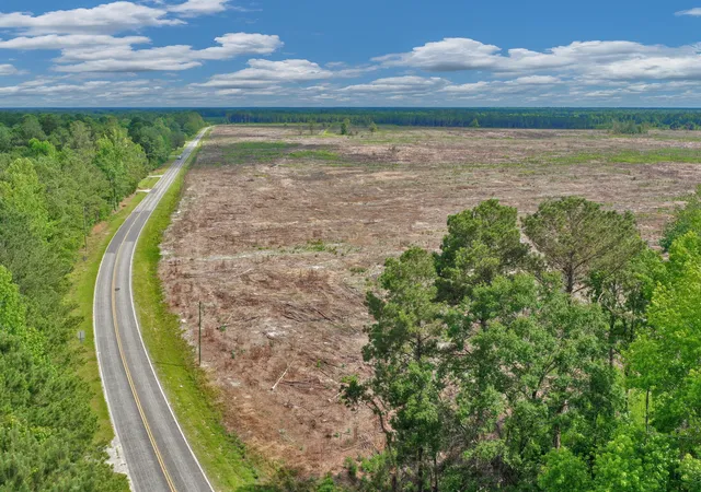 Homes for sale in Manning, SC | 5120 N Brewington Rd #2, Manning, SC 29102 | MLS# 26015599