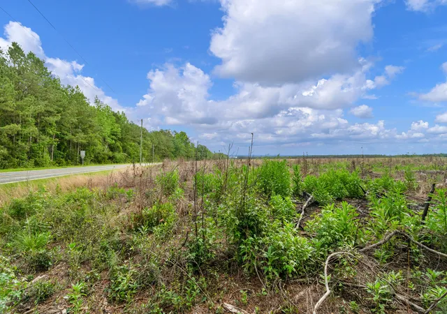 Homes for sale in Manning, SC | 5120 N Brewington Rd #2, Manning, SC 29102 | MLS# 26015599