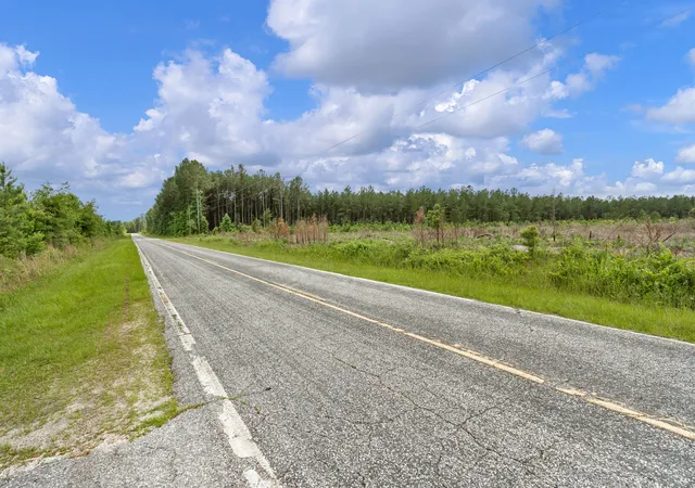 Homes for sale in Manning, SC | 5120 N Brewington Rd #2, Manning, SC 29102 | MLS# 26015599