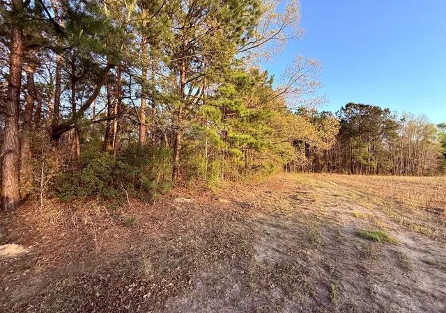 18th image of 430 Weenee Rd, Jamestown, SC 29453 | MLS# 26009220