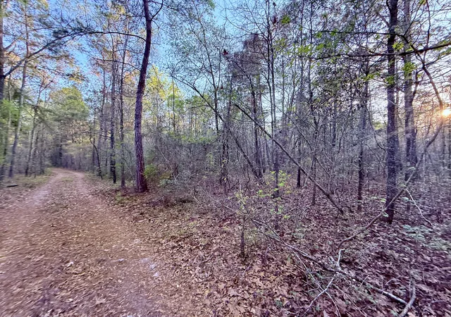 1st image of 430 Weenee Rd, Jamestown, SC 29453 | MLS# 26009220