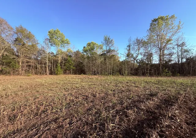 2nd image of 430 Weenee Rd, Jamestown, SC 29453 | MLS# 26009220