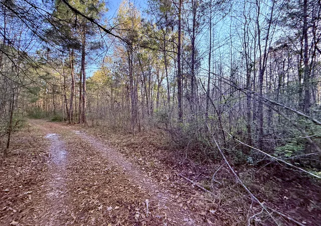 Photo 3 of Land for sale at 430 Weenee Rd, Jamestown, SC 29453 | MLS# 26009220 | Listing updated on 2026-09-29